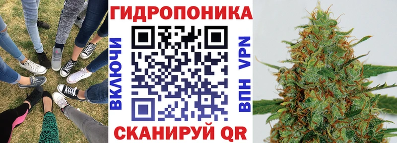 купить наркоту  Фёдоровский  Каннабис индика 